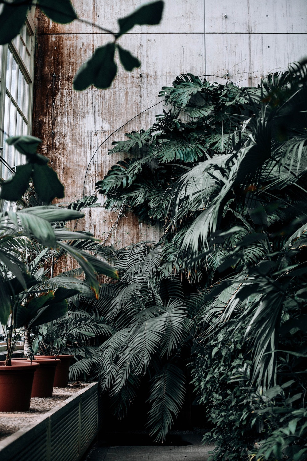 Plants growing along industrial concrete interior